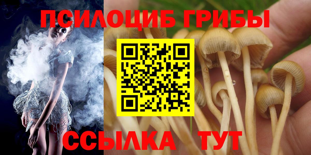 Великие Луки  купить   Вход с VPN  Псилоцибиновые грибы GOLDEN TEACHER 